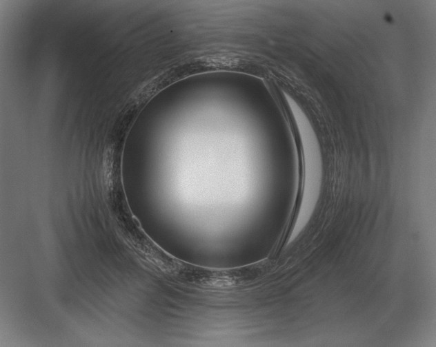 X0000083000600200702160051