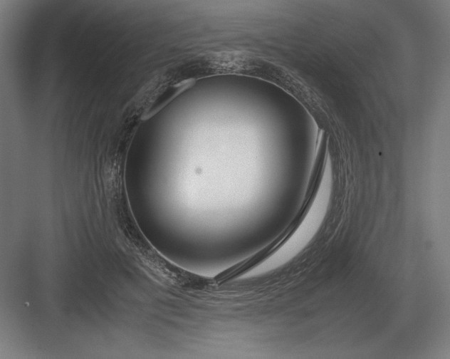 X0000083000601200702160051