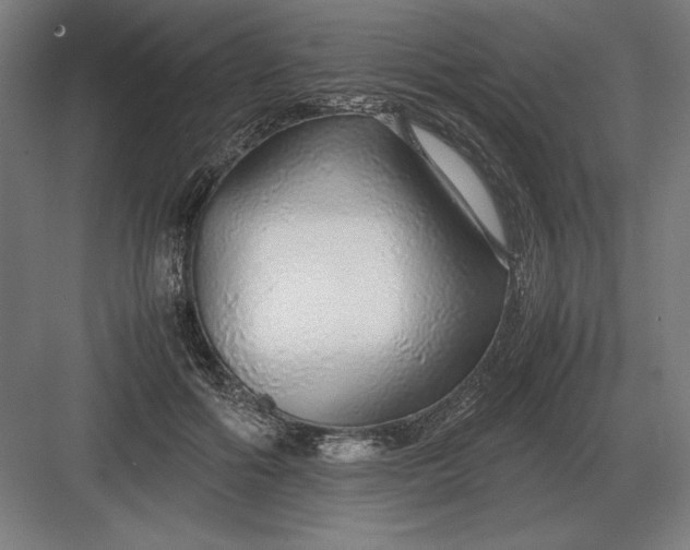 X0000083000602200702160051