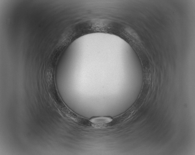 X0000083000603200702160051