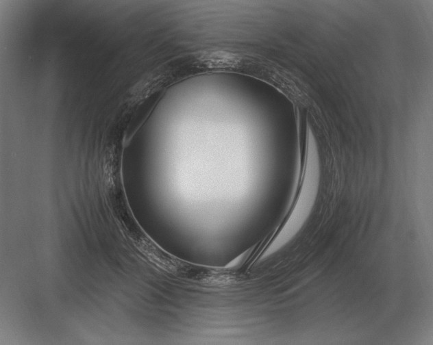 X0000083000604200702160051