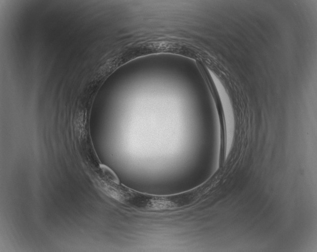 X0000083000605200702160051