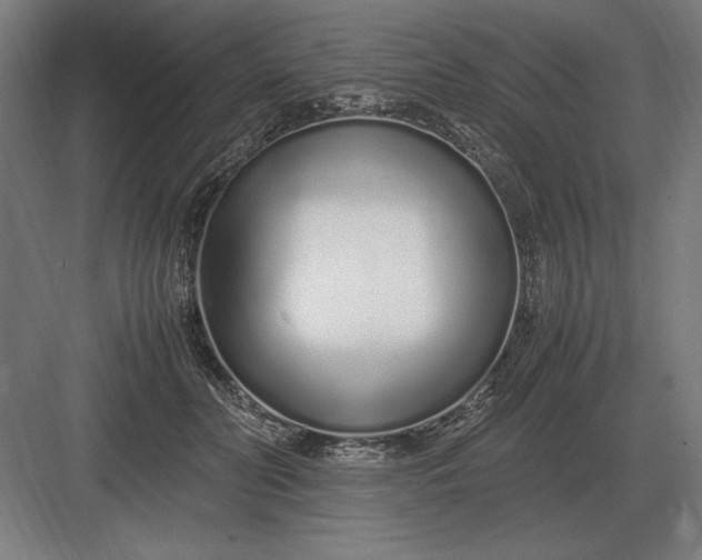 X0000083000606200702160051