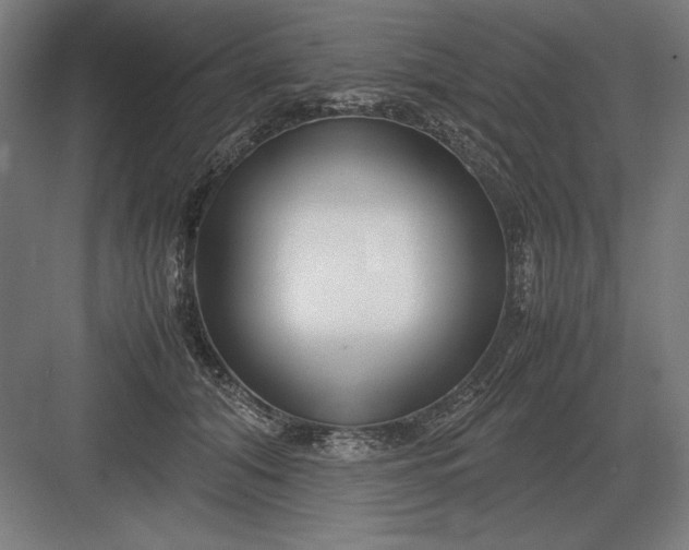 X0000083000608200702160051