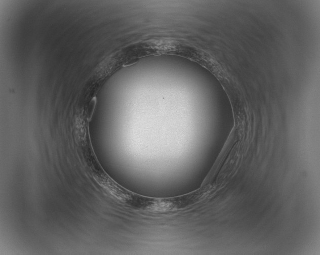 X0000083000609200702160051