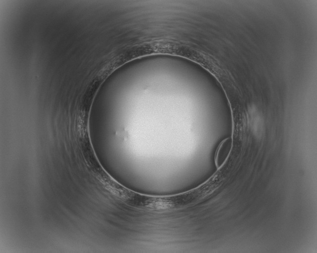 X0000083000610200702160051