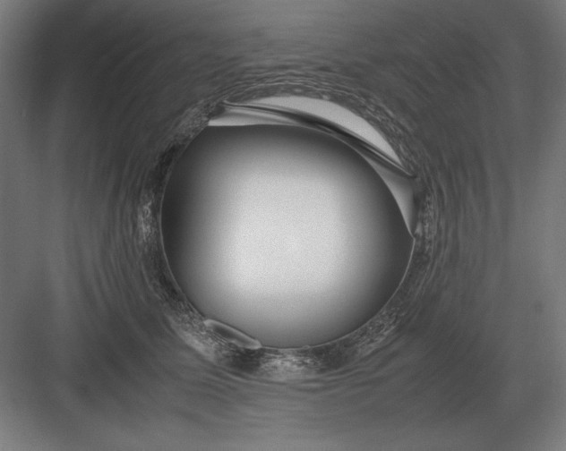 X0000083000611200702160051