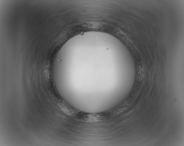 X0000083000612200702160051