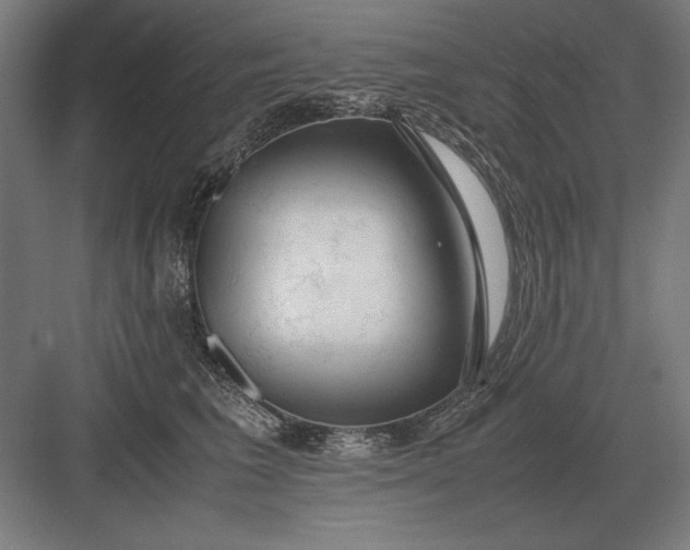 X0000083000613200702160051