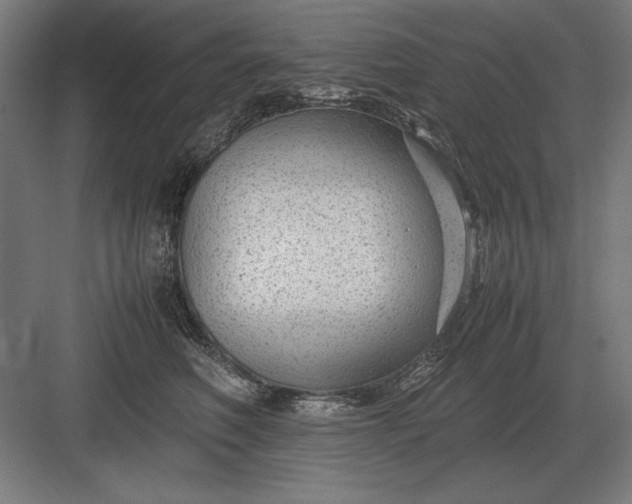 X0000083000614200702160051