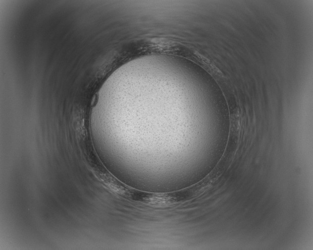 X0000083000615200702160051