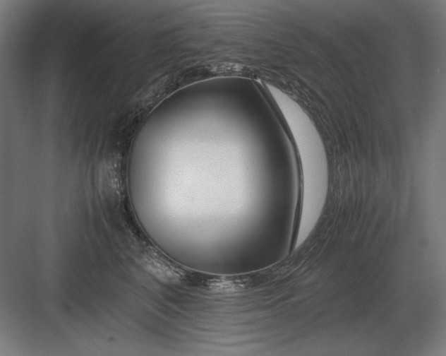 X0000083000616200702160051