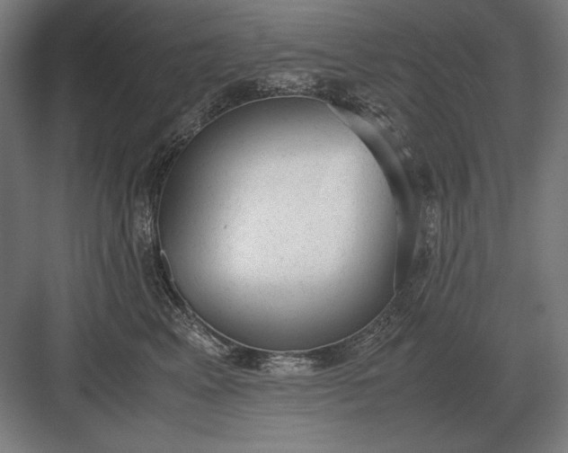 X0000083000617200702160051