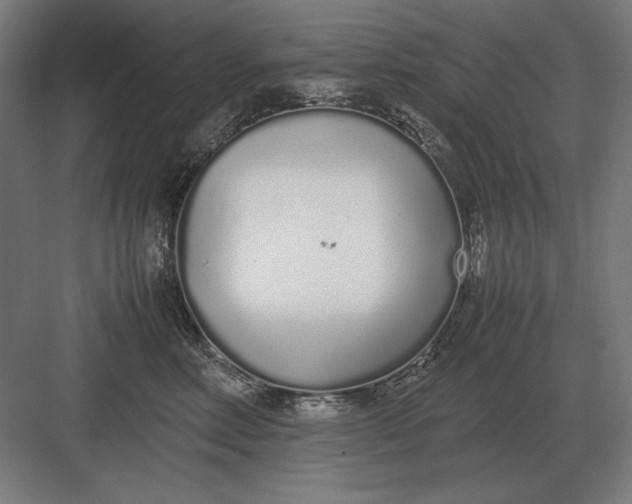 X0000083000618200702160051