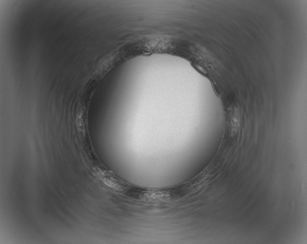 X0000083000619200702160051