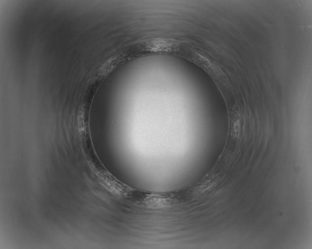 X0000083000620200702160051