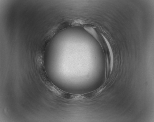 X0000083000621200702160051