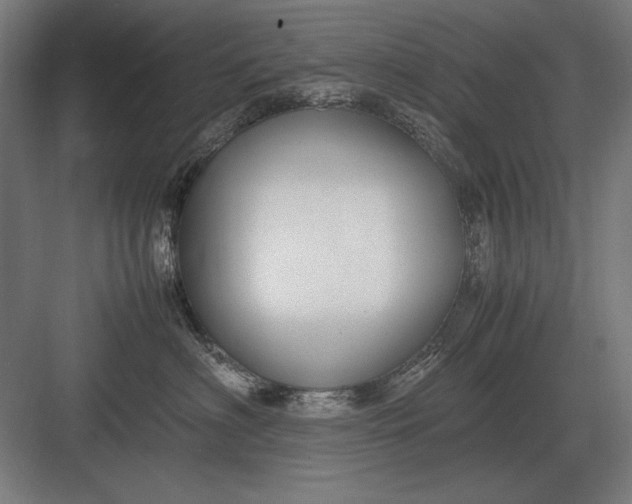 X0000083000622200702160051