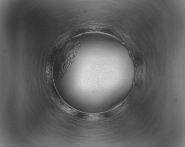 X0000083000623200702160051