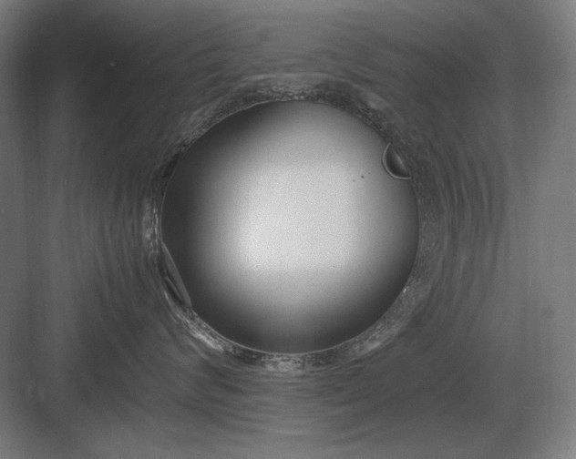 X0000083000624200702160051