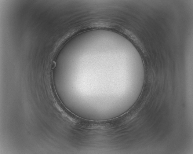 X0000083000625200702160050