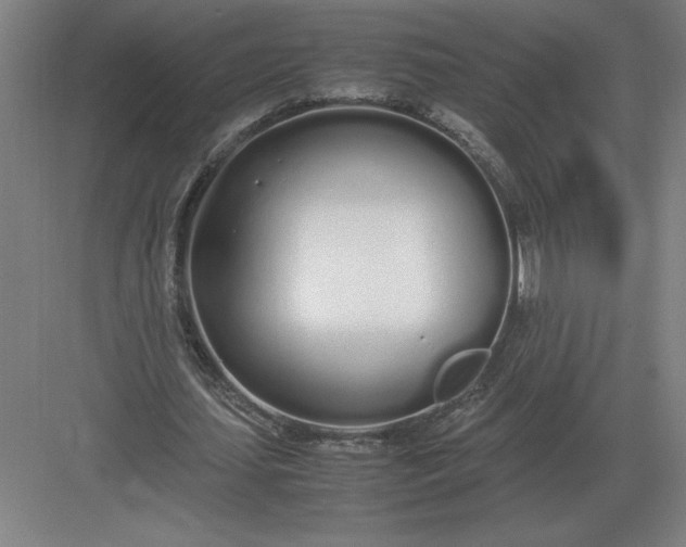 X0000083000627200702160050