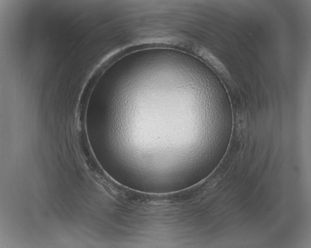 X0000083000628200702160050