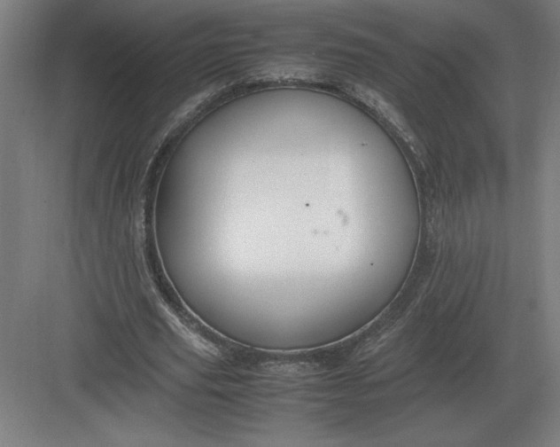 X0000083000629200702160050