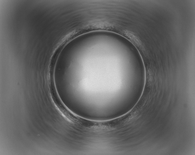 X0000083000630200702160050