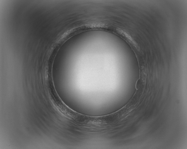 X0000083000631200702160050