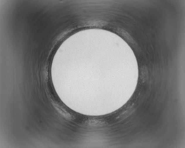 X0000083000632200702160050