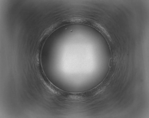 X0000083000633200702160050