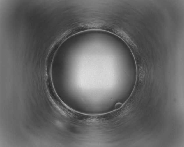 X0000083000634200702160050