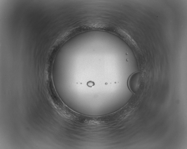 X0000083000635200702160050