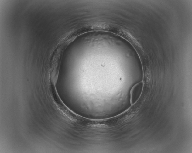 X0000083000637200702160050