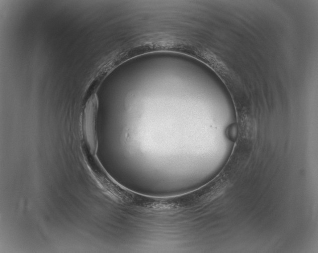 X0000083000638200702160050