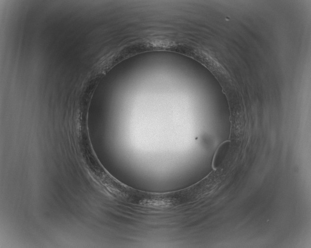 X0000083000639200702160050