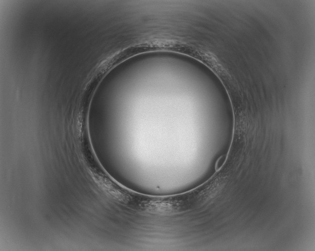 X0000083000640200702160050