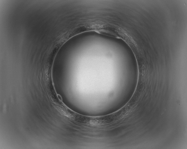 X0000083000641200702160050