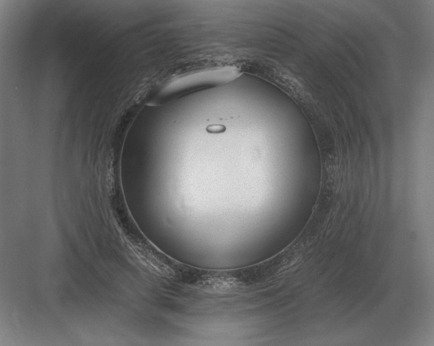 X0000083000642200702160050