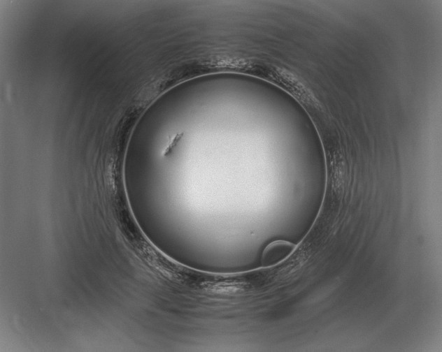 X0000083000643200702160050