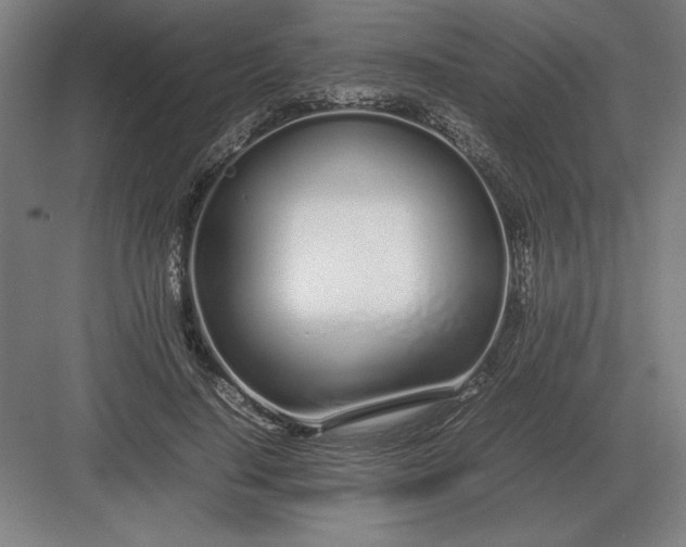 X0000083000644200702160050