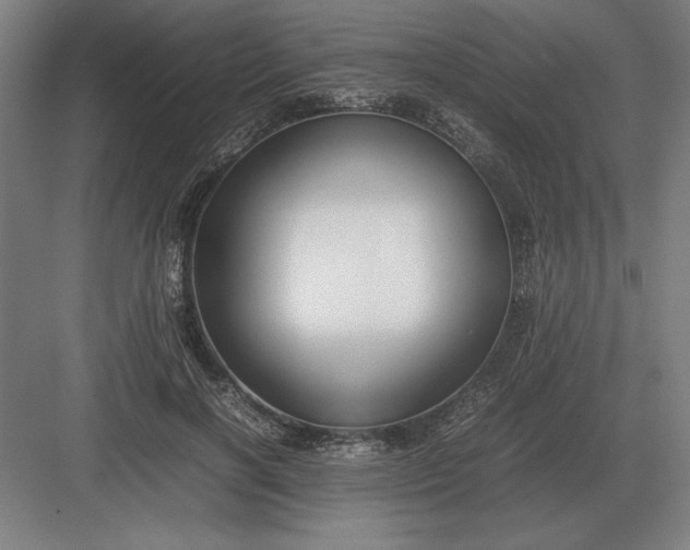 X0000083000646200702160050