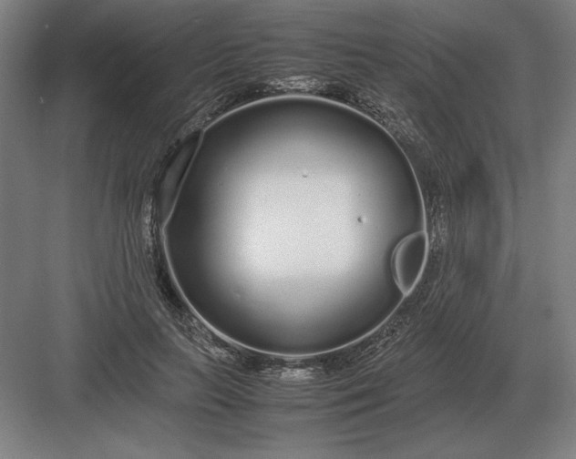 X0000083000647200702160050