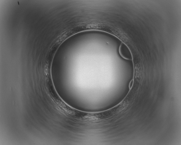 X0000083000648200702160050