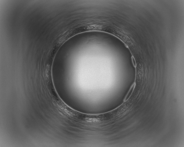 X0000083000649200702160050