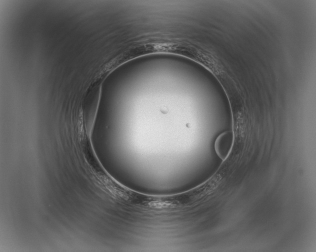 X0000083000650200702160050