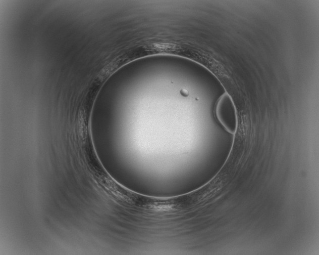 X0000083000651200702160050