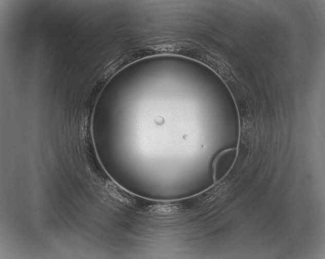 X0000083000652200702160050