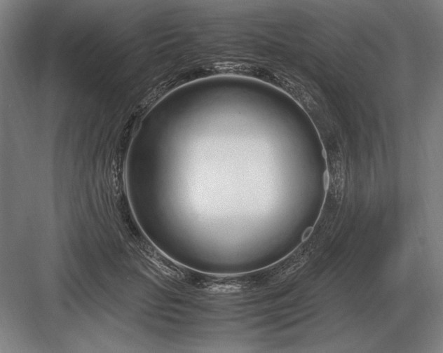 X0000083000653200702160050